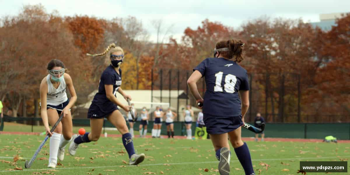 认识完美体育官方网站